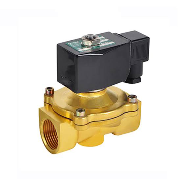 2W Series 2/2 Way Maye Solenoid Valf (Birbaşa Təsirli + Pilotla İdarə olunur)
